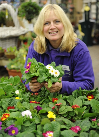 Garden centre PR photography Garden centre PR photography